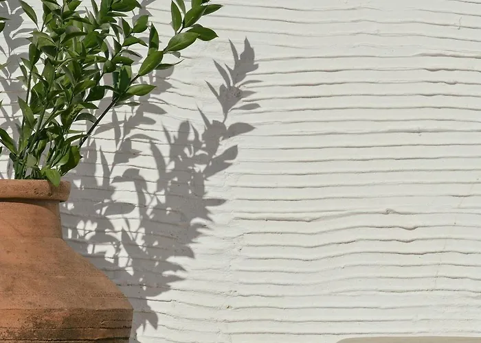 The Nest 컨트리하우스 *